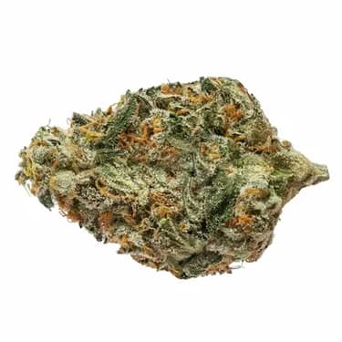 THE ORIGINAL FRASER VALLEY WEED CO. BC Bounty (rotational) - The Original Fraser Valley Weed - Dried Flower