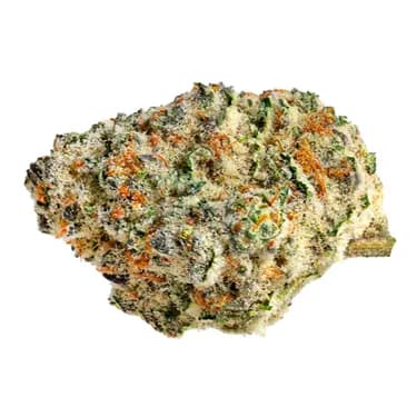 THE ORIGINAL FRASER VALLEY WEED CO. Strawberry Amnesia - The Original Fraser Valley Weed - Dried Flower