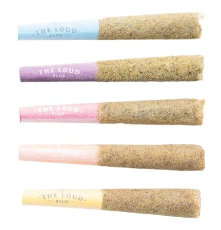 The Loud Plug