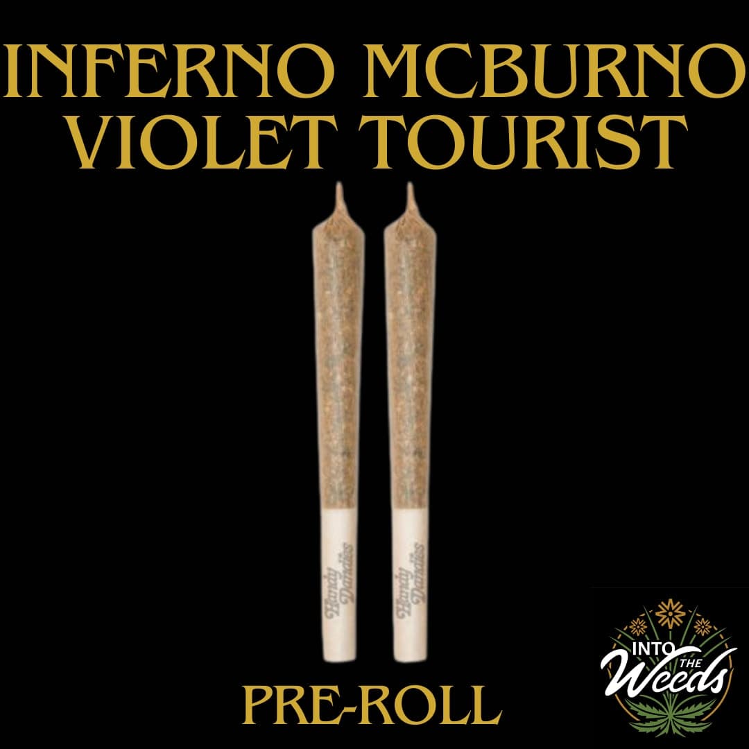 Violet Tourist Inferno McBurno - 30 x 0.5g