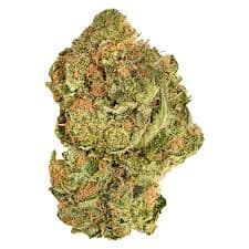 Good Supply 28g Brand New Buds - Good Supply