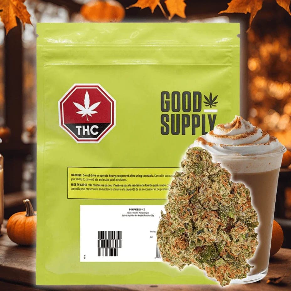 Good Supply Pumpkin Spice - 28g