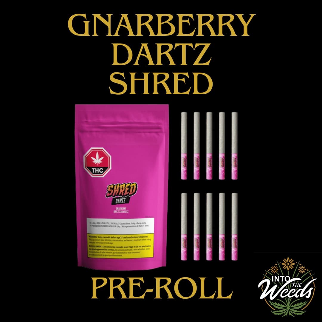 SHRED Gnarberry Dartz - 10 x 0.4g