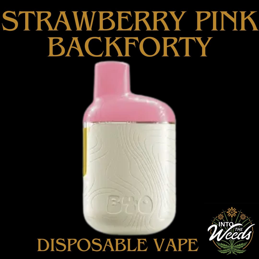 Back Forty Strawberry Pink AIO - Back Forty - Disposables