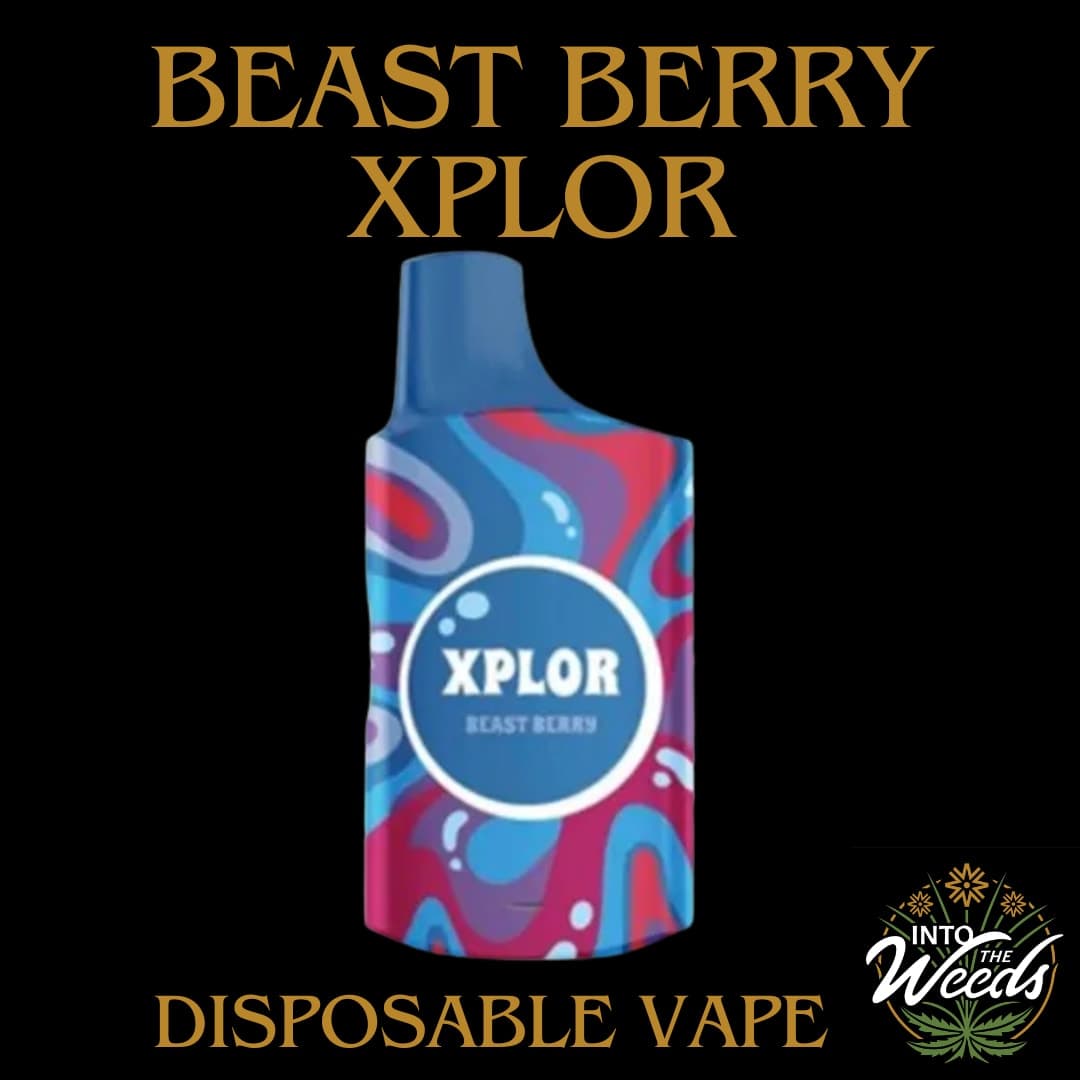 Xplor Beast Berry - 1g
