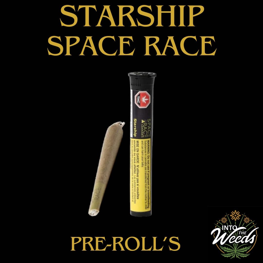 Space Race Starship - 1 x 1g