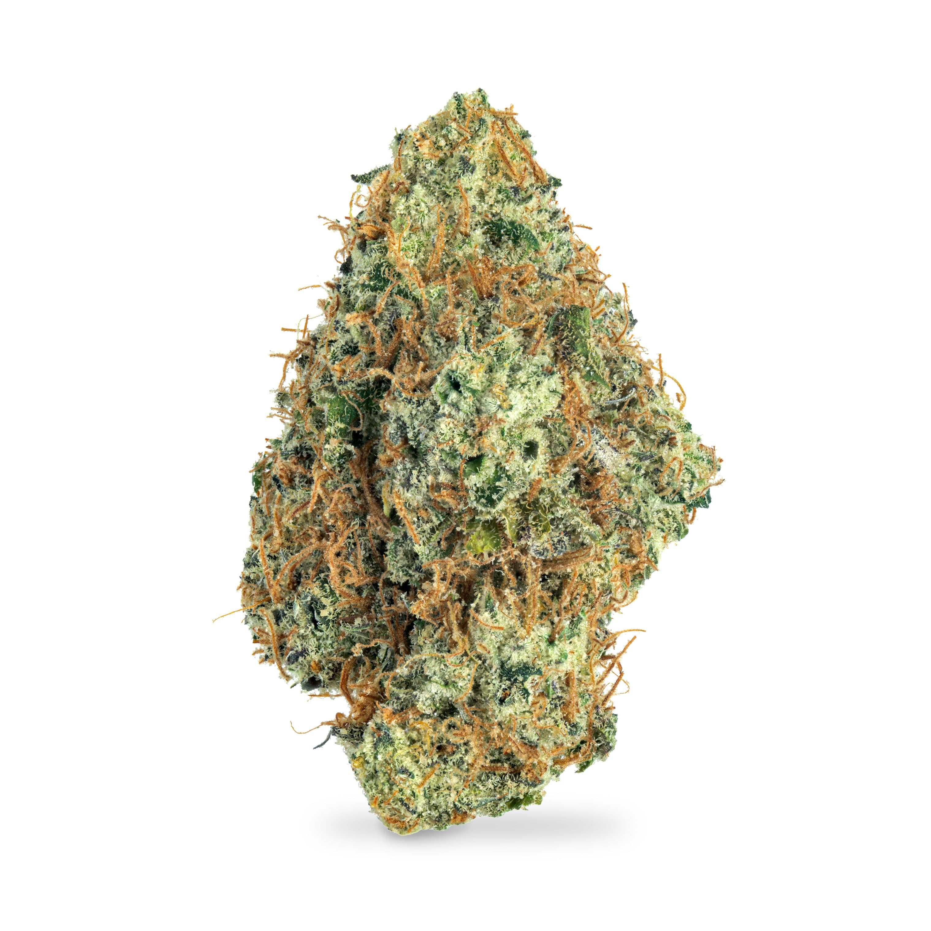 High Noon Cultivation
