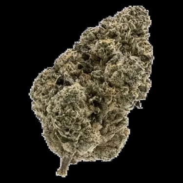 FIGR Mellow Man - FIGR - Dried Flower