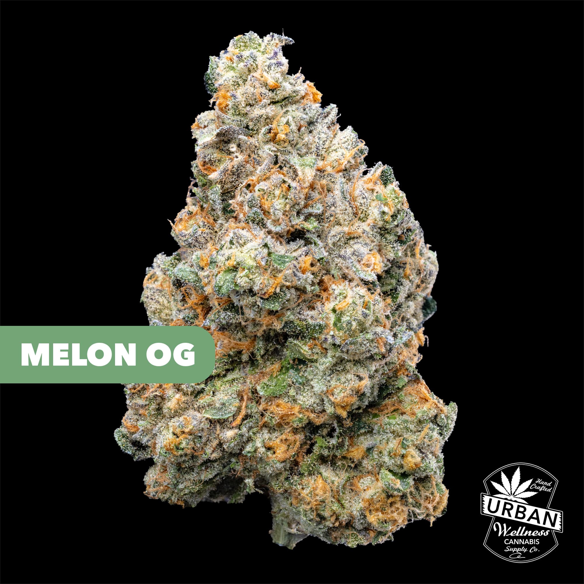 Urban Wellness Melon OG