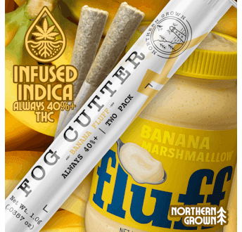 Fog Cutter