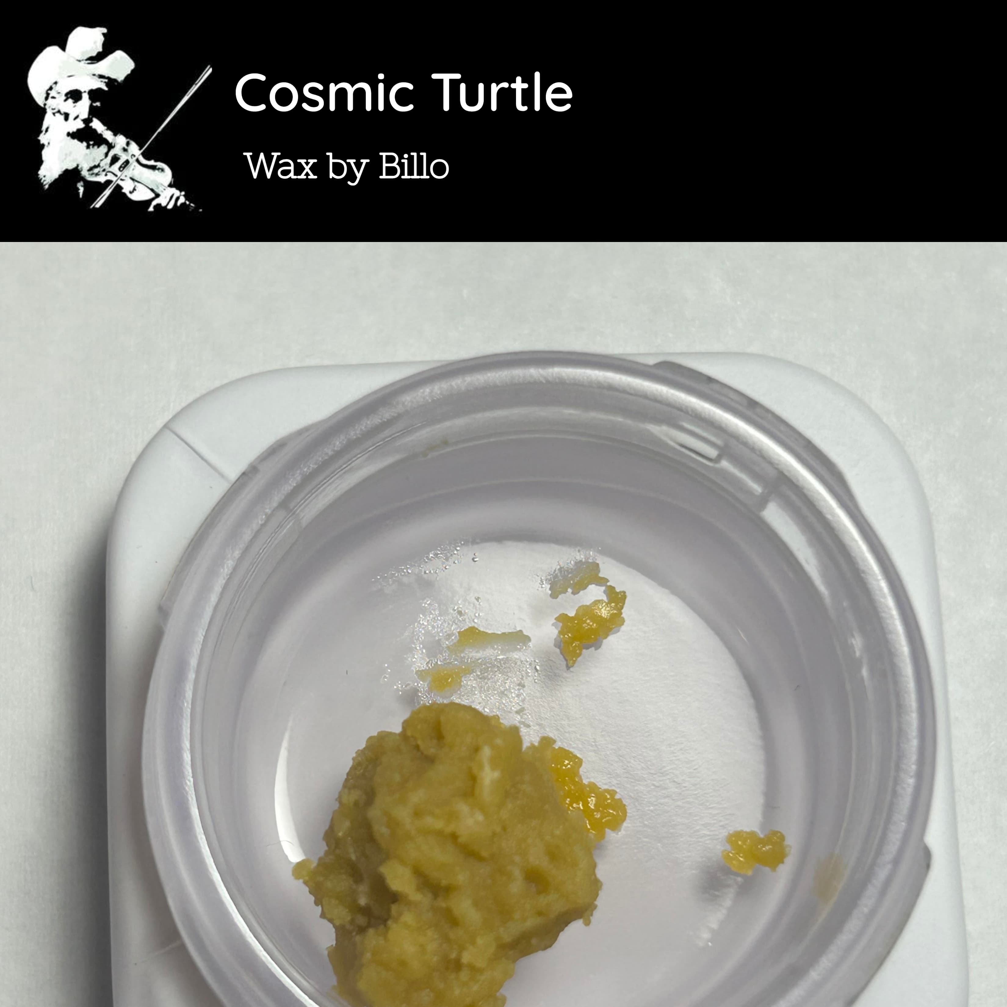 Billo Cosmic Turtle