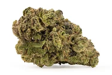 Cherry Ztripez - Broken Coast - Dried Flower