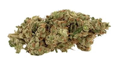 Catch Me Outside Catch Me Outside Rooster Call / 14g / Whole Flower / Sativa