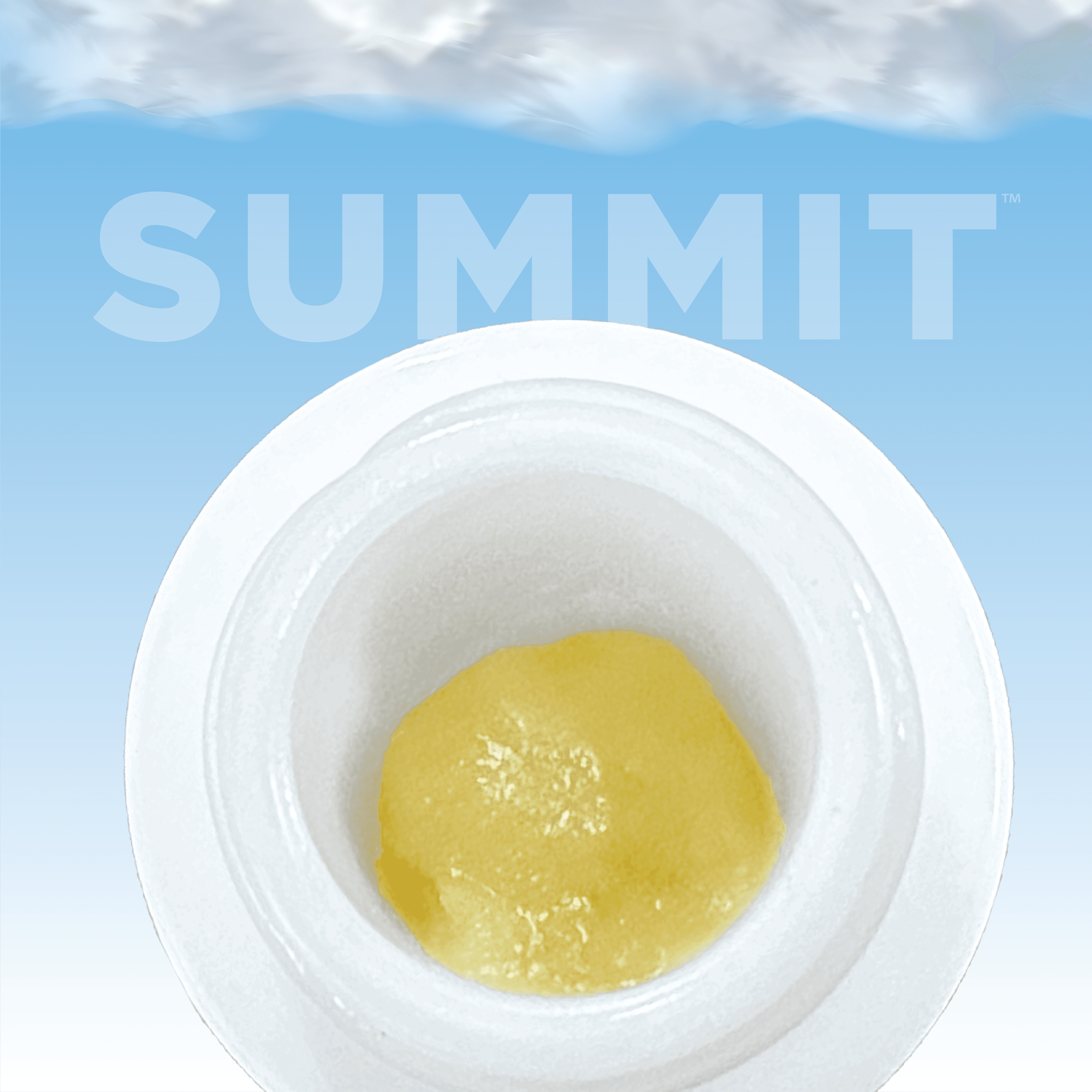 Summit