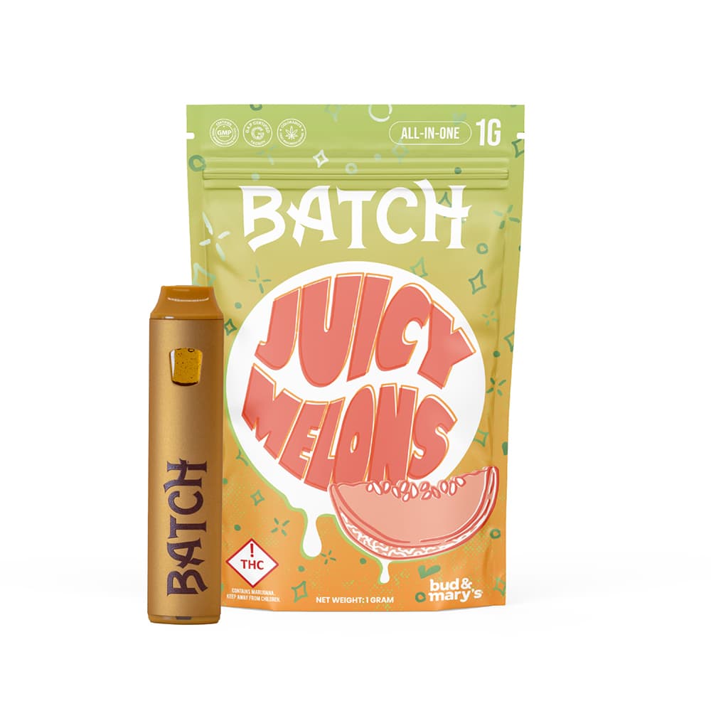 BATCH AIO | Flavors Juicy Melons | 4 g