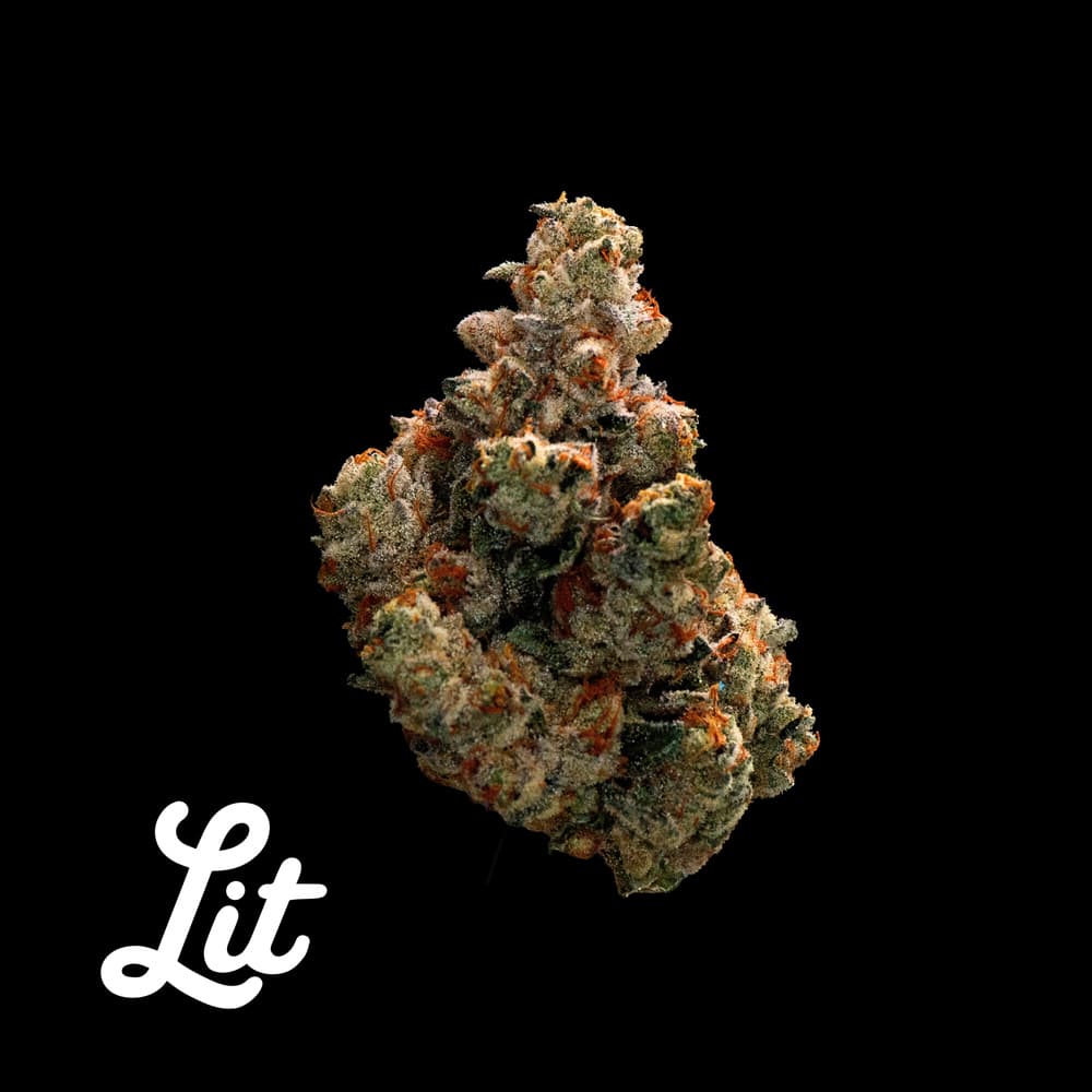 Lit Labs