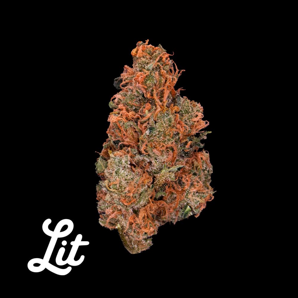 Lit Labs