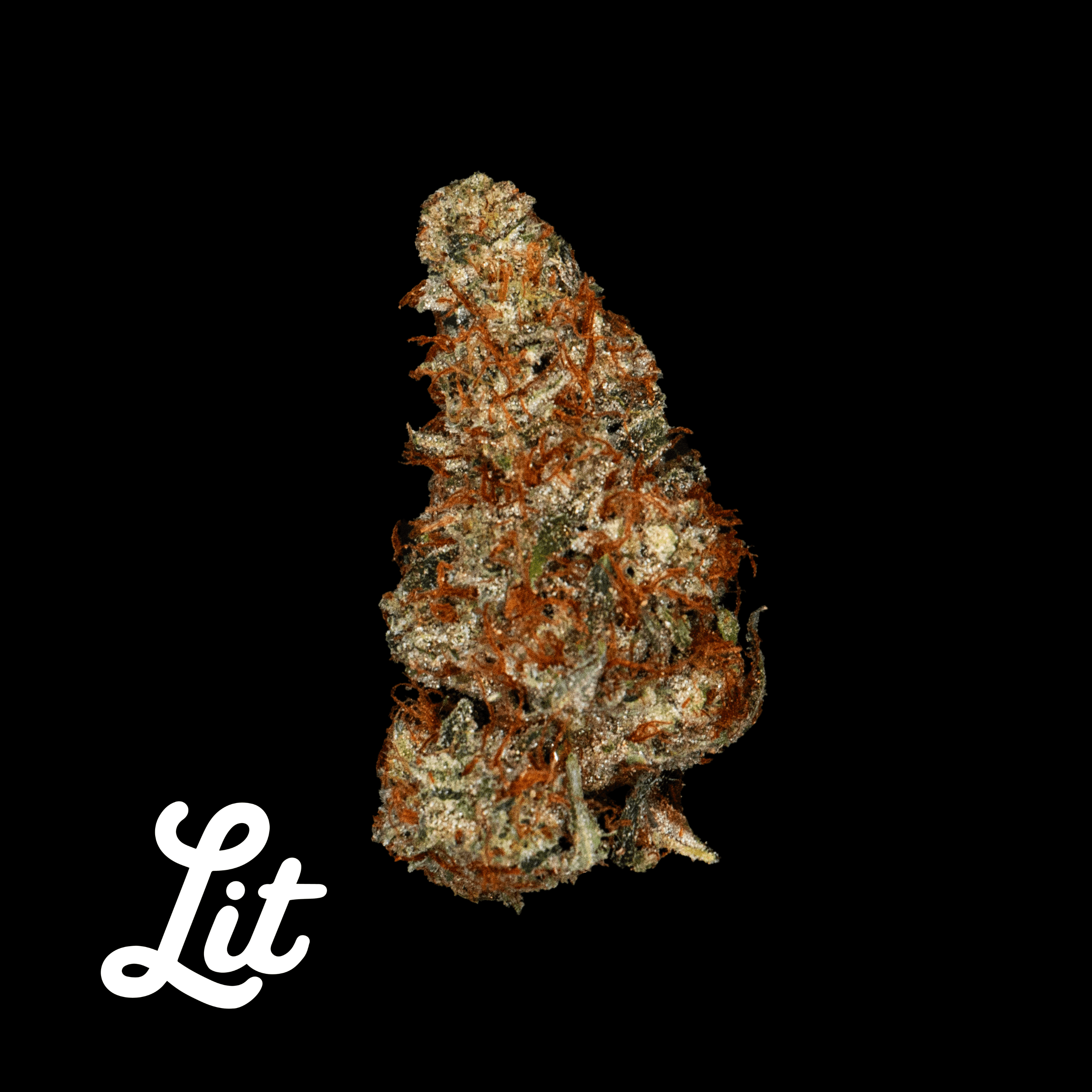 LIT Jet Fuel
