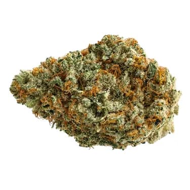 THE ORIGINAL FRASER VALLEY WEED CO. D. Burger - The Original Fraser Valley Weed - Dried Flower