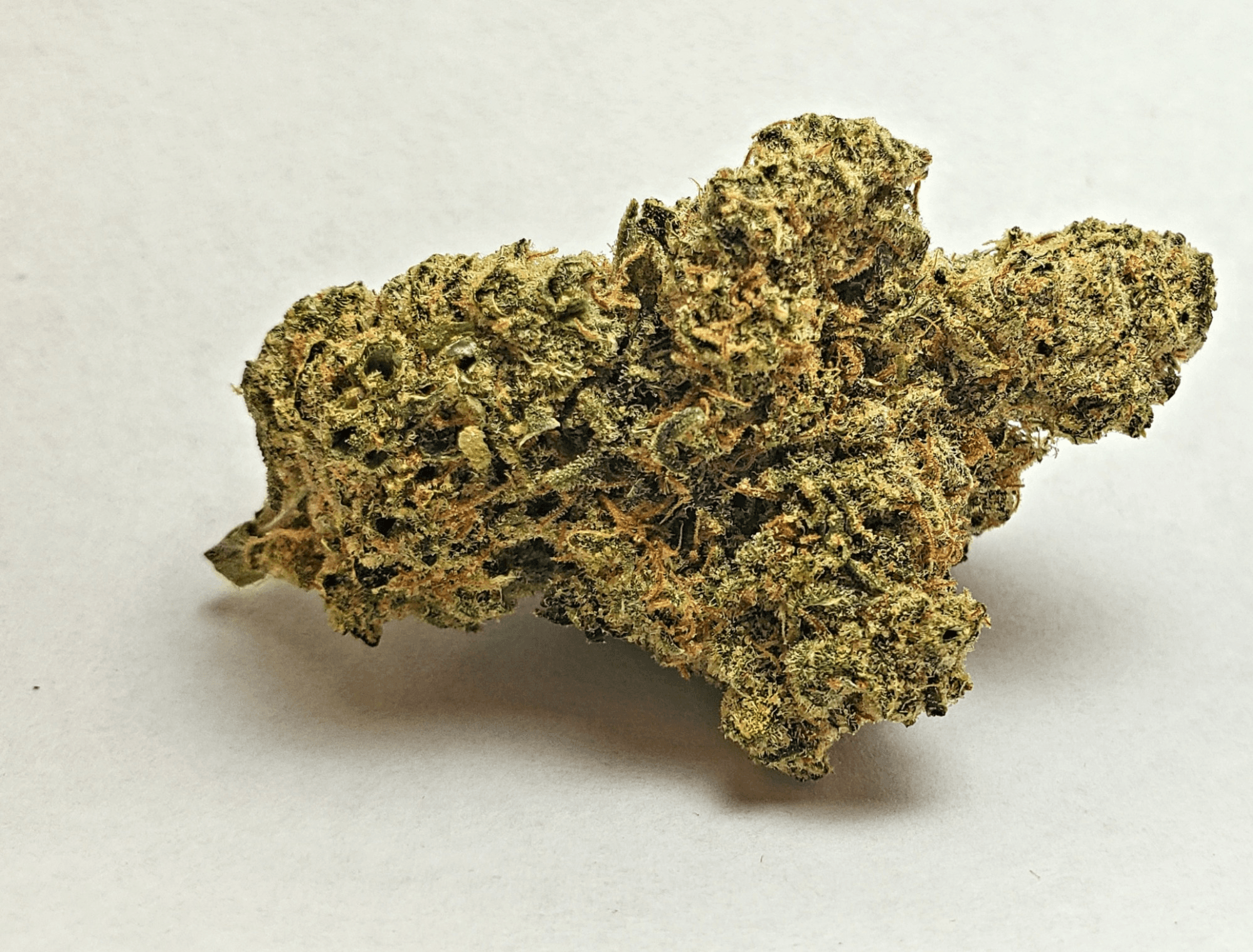 In The Flow Durban Poison