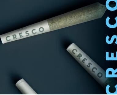 Cresco CRESCO - PAVE ZEST - PRE-ROLL