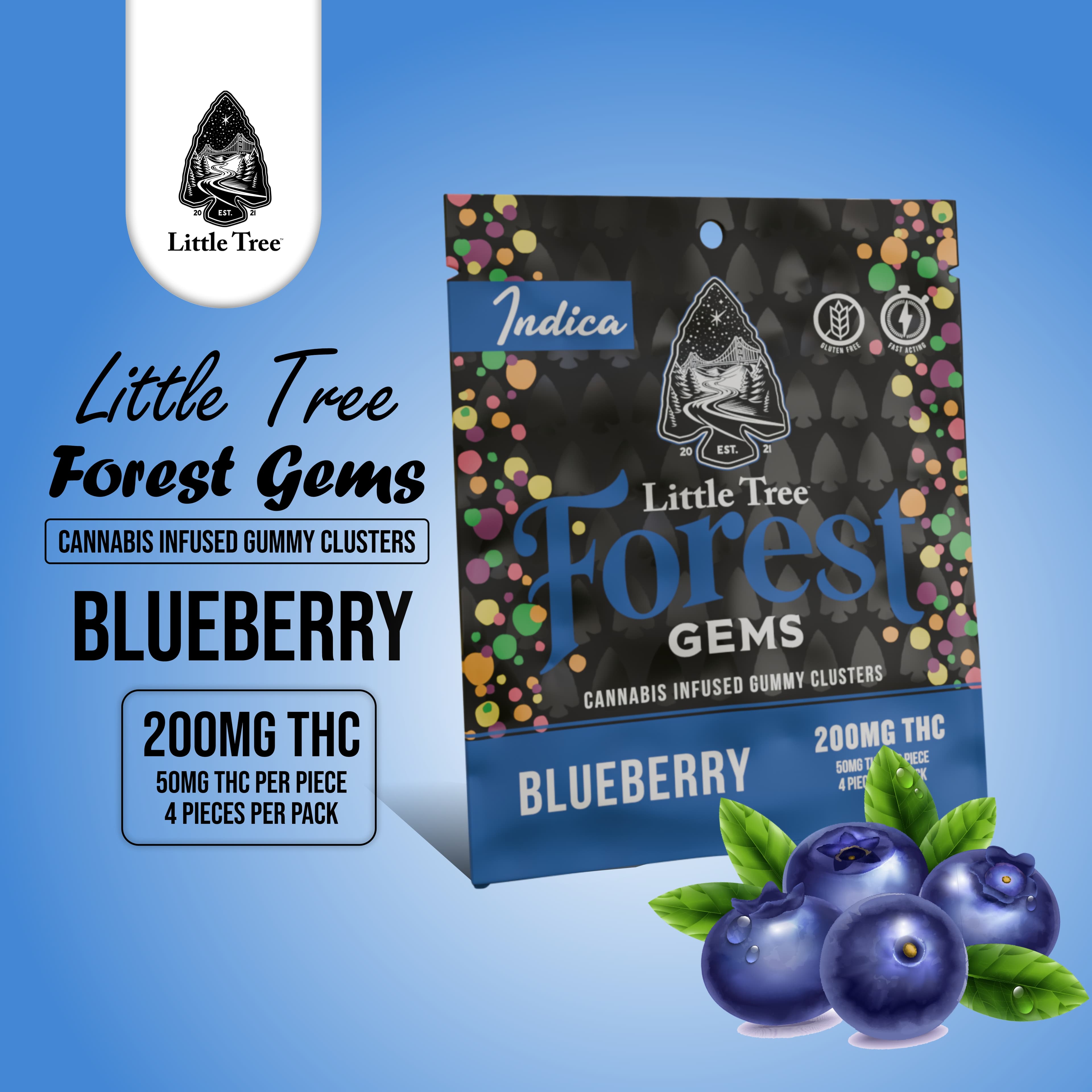 Little Tree BLUEBERRY FOREST GEMS | 200mg GUMMIES