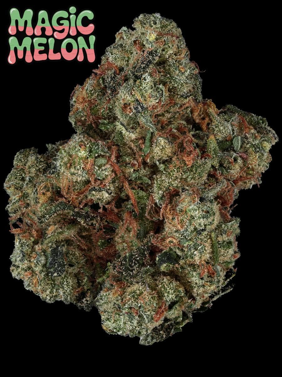 Prolific Prolific | Magic Melon | 1G Dime