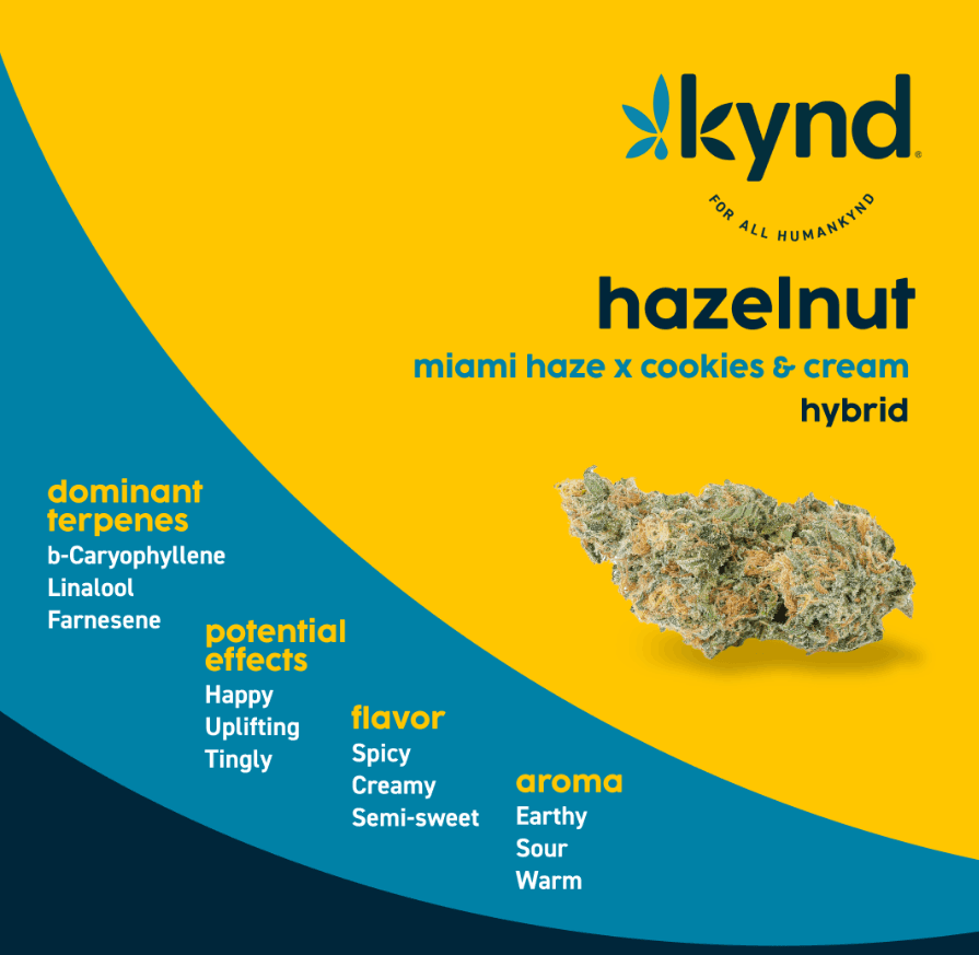 KYND Hazelnut (H)