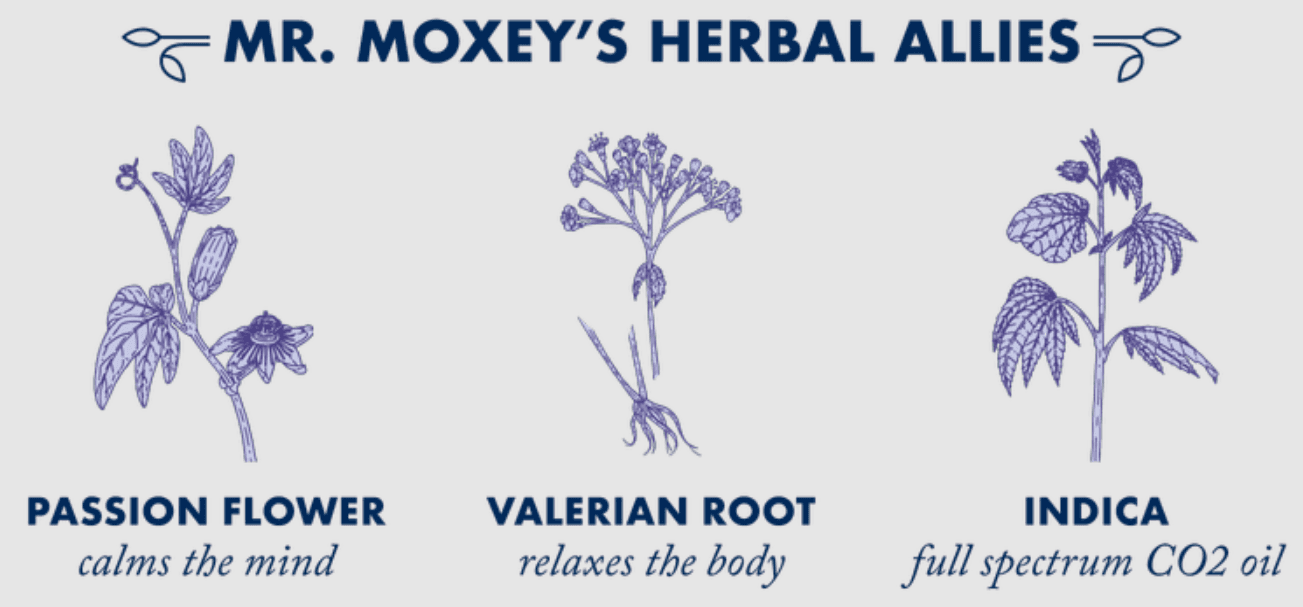 Mr. Moxey's Mints Dream | 1:1:1 THC:CBD:CBN | 20pk Lavender Mints