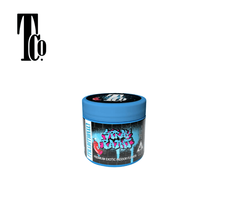 TRADITIONAL SPRAY PAINT 3.5G