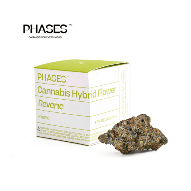 PHASES MUSE 3.5G