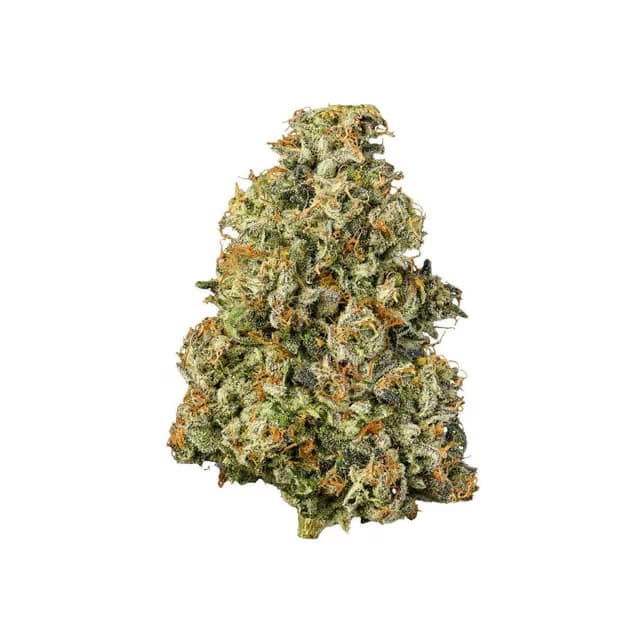 CONNECTED Gascotti 10g