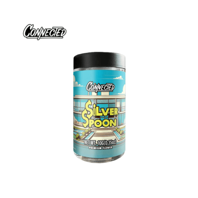 CONNECTED SILVER SPOON 10G