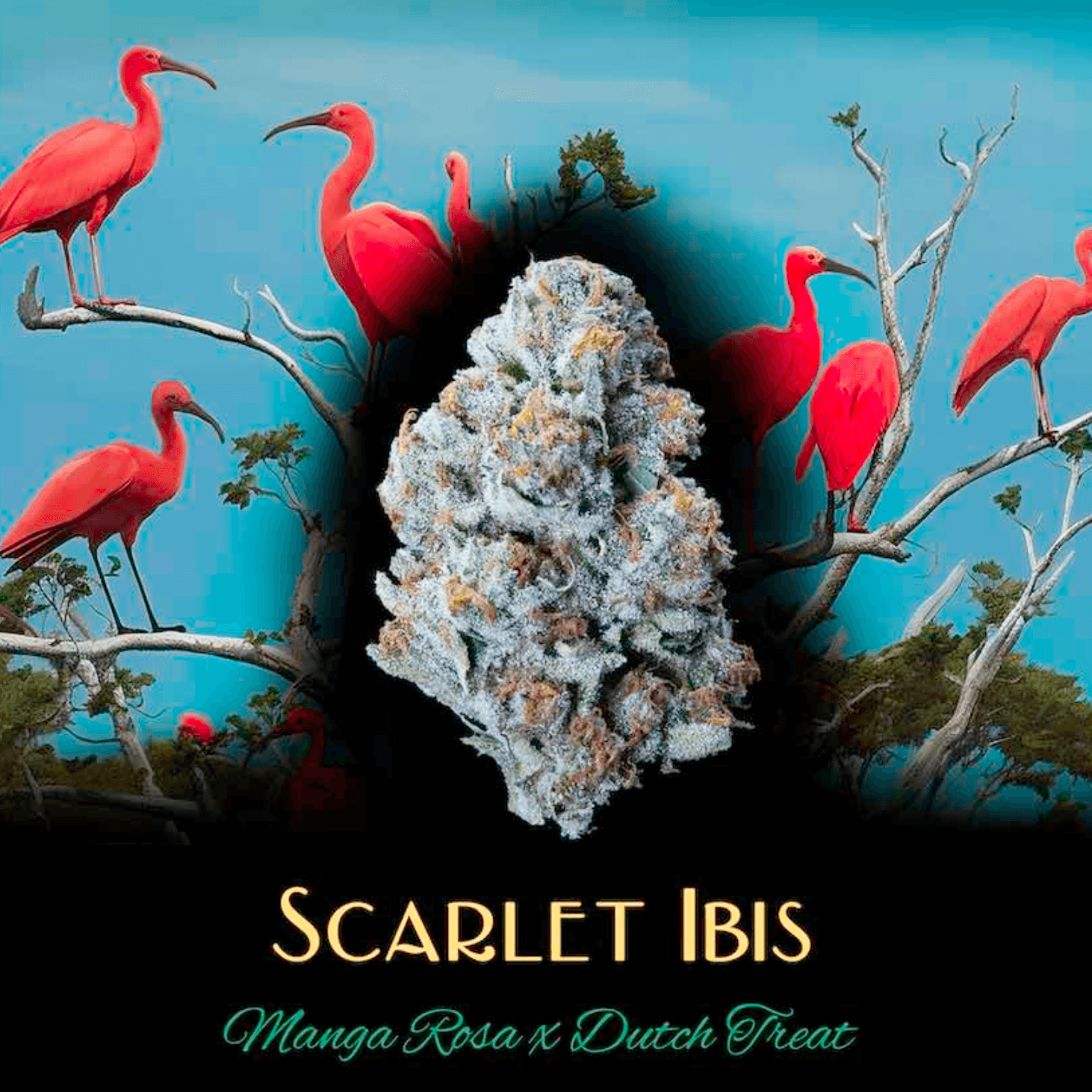 Deaux Scarlet Ibis