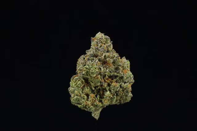 UpNorth FLORIDA ORANGES 3.5G