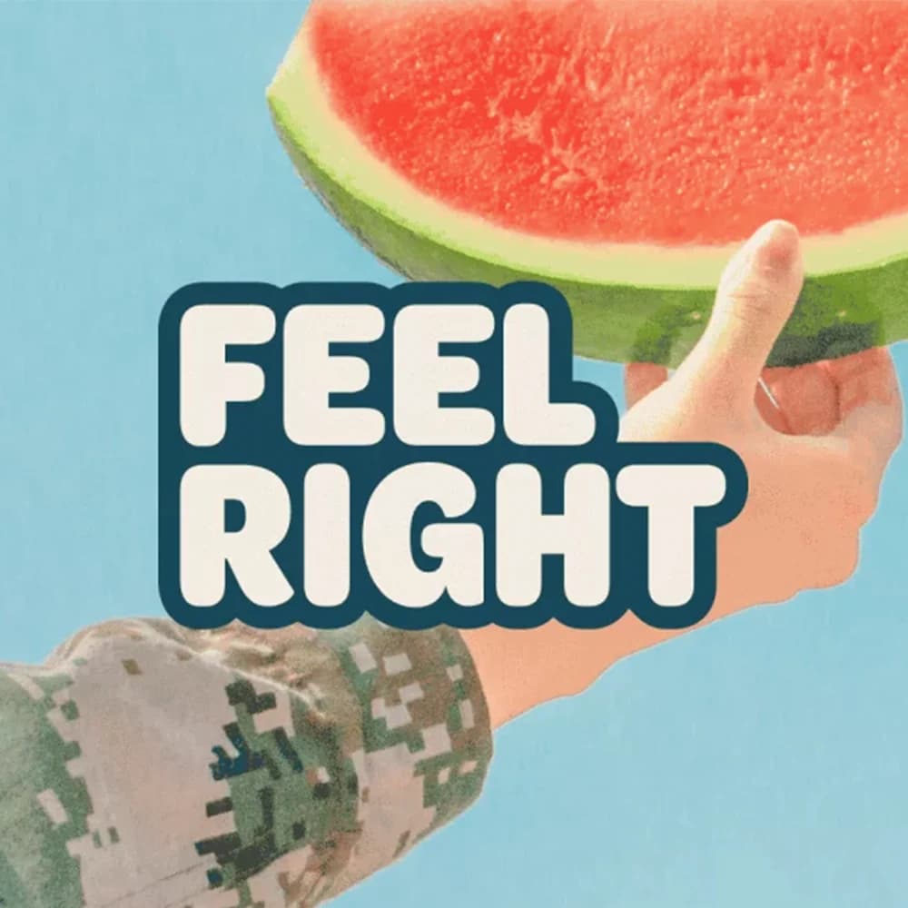 Feel Right Blueberry Diesel
