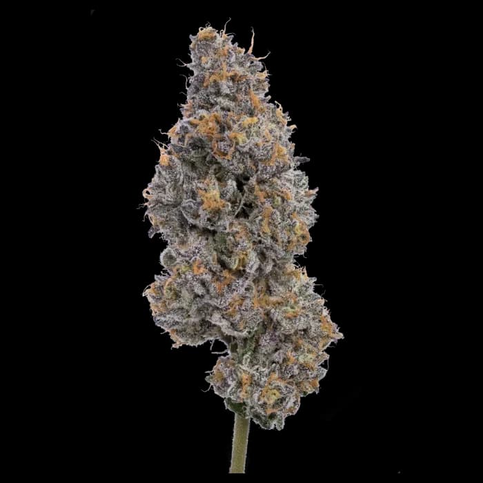 Green Dawg