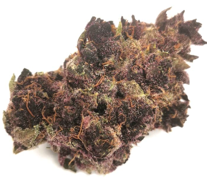 Orchard Tropical Cherry | 7g