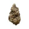 3rd Coast Genetics