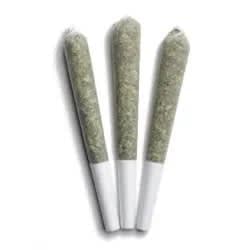 BOLD Root Beer Float (3x0.5g)