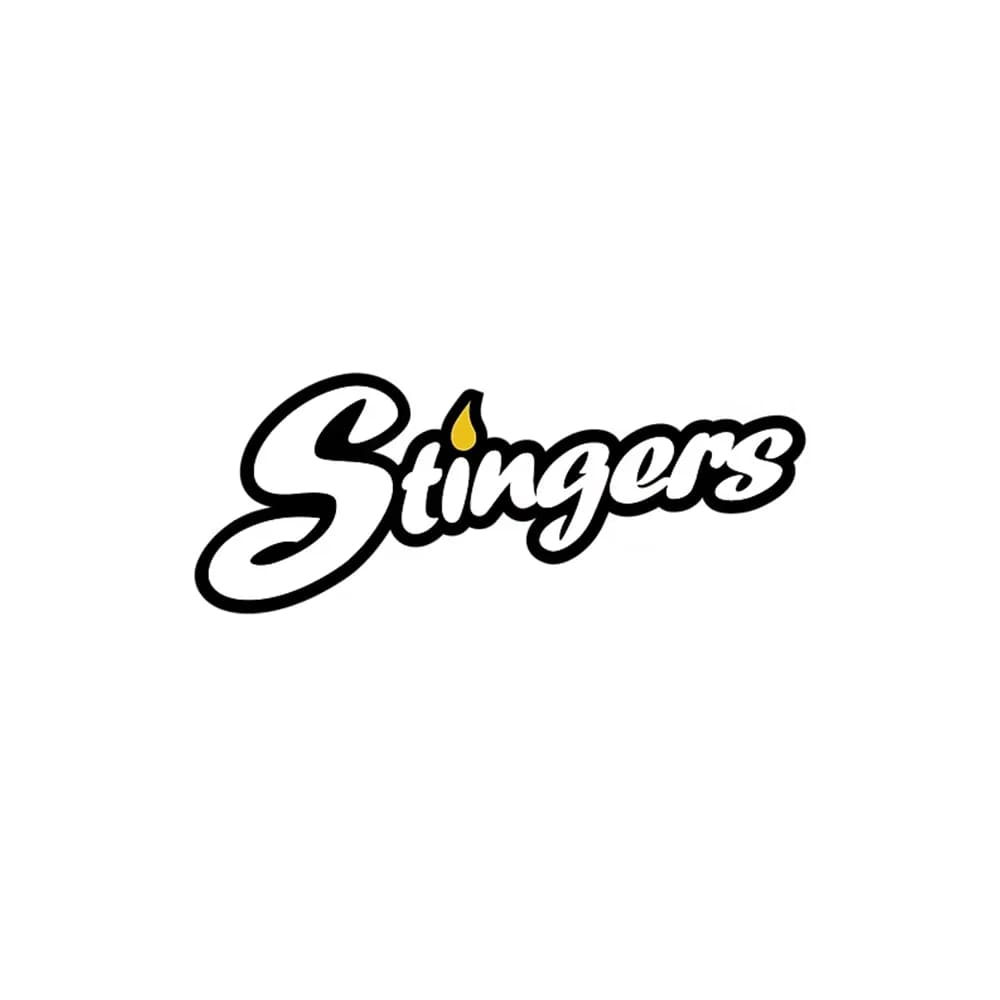 Stingers Hash Burger