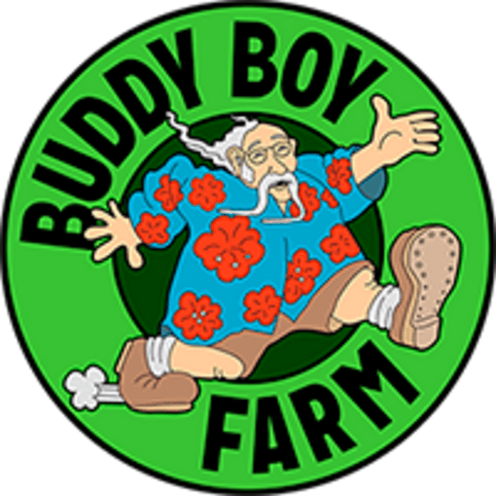 Buddy Boy Farms OG Kush
