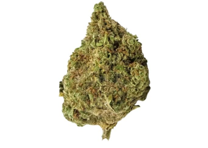 Redecan WAPPA