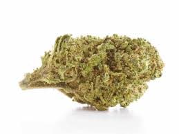 THE ORIGINAL FRASER VALLEY WEED CO. Strawberry Amnesia Flower - Sativa