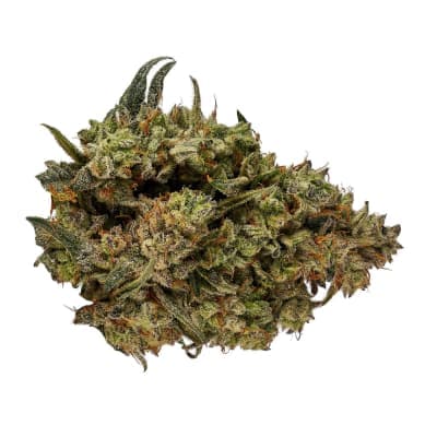 Orchid CBD CBD Runtz