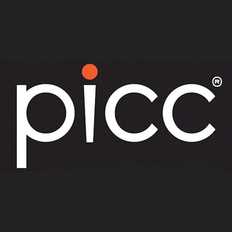 Picc DBG Infused Joint | Gas Guzzler & Jet Fuel | H | 0.5g