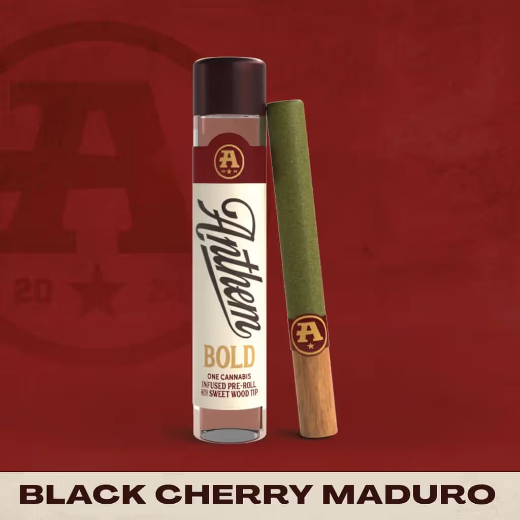 Anthem Black Cherry Maduro