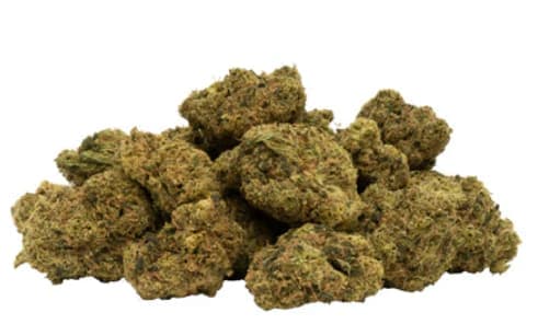7ACRES White Widow X