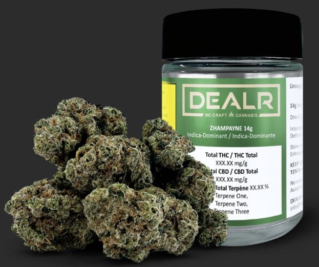 DEALR Zhampayne | 14g