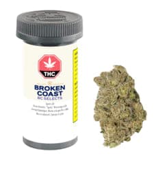 Broken Coast